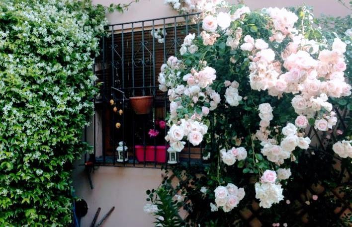 Appartamento La Terrazza Di Dora เมนาจโจ ภายนอก รูปภาพ